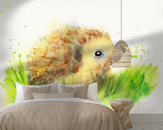 Aperçu de la chambre