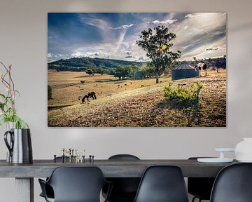 Australische Paarden Boerderij vlakbij Bingara