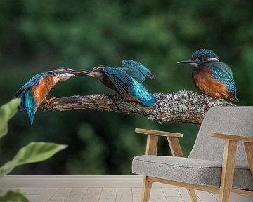 Lieferung von Lebensmitteln!