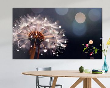Pusteblume in Makro