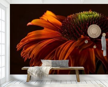 Warm colours: The dancing leaves of an Echinacea in the light by Marjolijn van den Berg