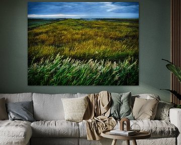 Marram grass by Oliver Schepp