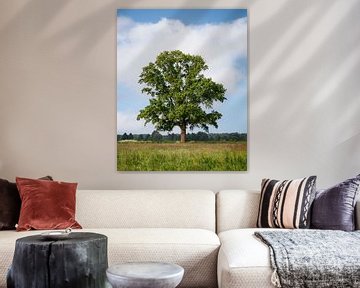Lenteboom in Hattem onder Hollandse lucht van Marcel van Oene