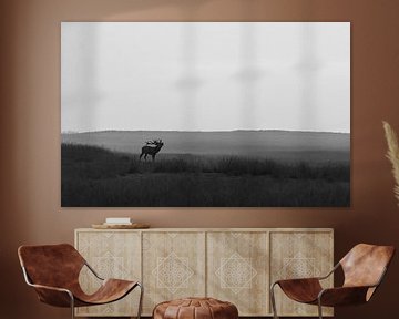 Red deer in the mist by Arnold van Leeuwen