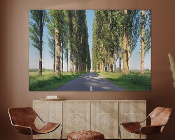 Avenue des peupliers sur Ronald Smits