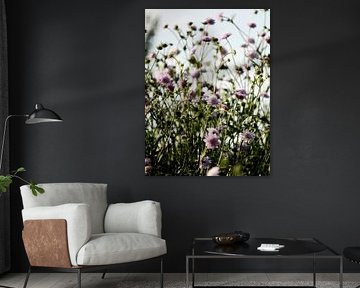 Wild flowers by Melanie Koudijzer