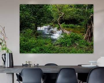 Waterval in het bos, doorkijkje in het groen van Franklin Driessen