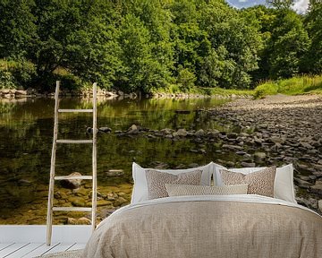 Enjoying the shade along the Ourthe by Geert Van Baelen