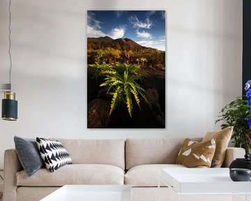 La Palma sur Marvin Schweer