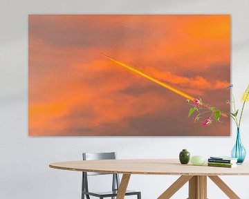Vliegtuig bij zonsondergang van Kees van den Burg