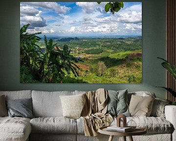 Doi Mae Salong, province de Chiang Rai dans le nord de la Thaïlande sur Franklin Driessen