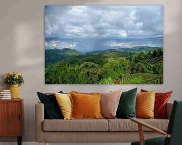 Doi Mae Salong, province de Chiang Rai dans le nord de la Thaïlande sur Franklin Driessen