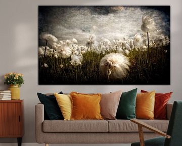 FLUFFIES van ARTBERGWERK