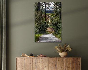 Chemin de Couvin