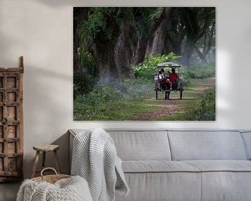 Paard en wagen op weg in het bos van Djawatan van Anges van der Logt