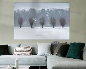 Le paysage hivernal d'Achterhoek sur Bart Harmsen