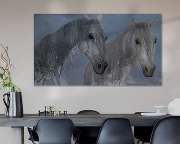 Cheval de vent 4