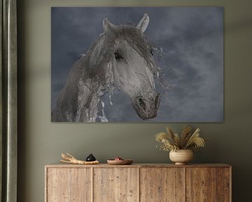 Cheval de vent 5