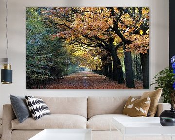 Belle forêt d'automne dans des couleurs chaudes de chute sur Jolanta Mayerberg