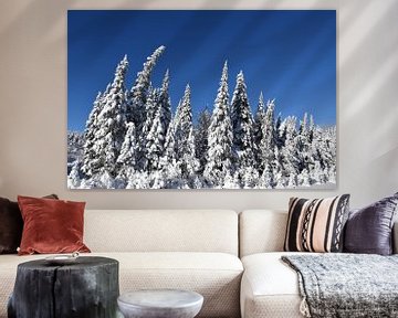 A snowy forest after the storm by Claude Laprise