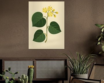 Lime blossom - a botanical and minimalist illustration by Eduard Broekhuijsen
