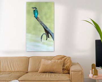 IJsvogel van Kees van den Burg