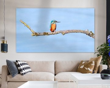 IJsvogel van Kees van den Burg