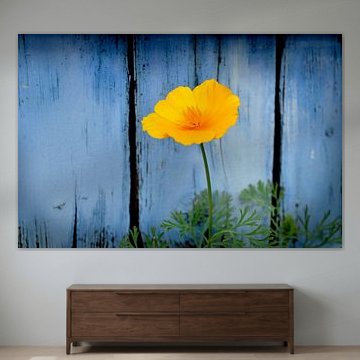 Gelbe Blume für blaue Tafeln