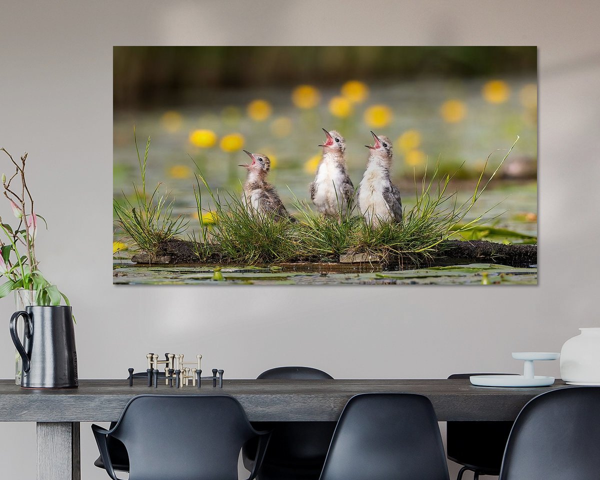 Voorbeeld van het werk in een kamer