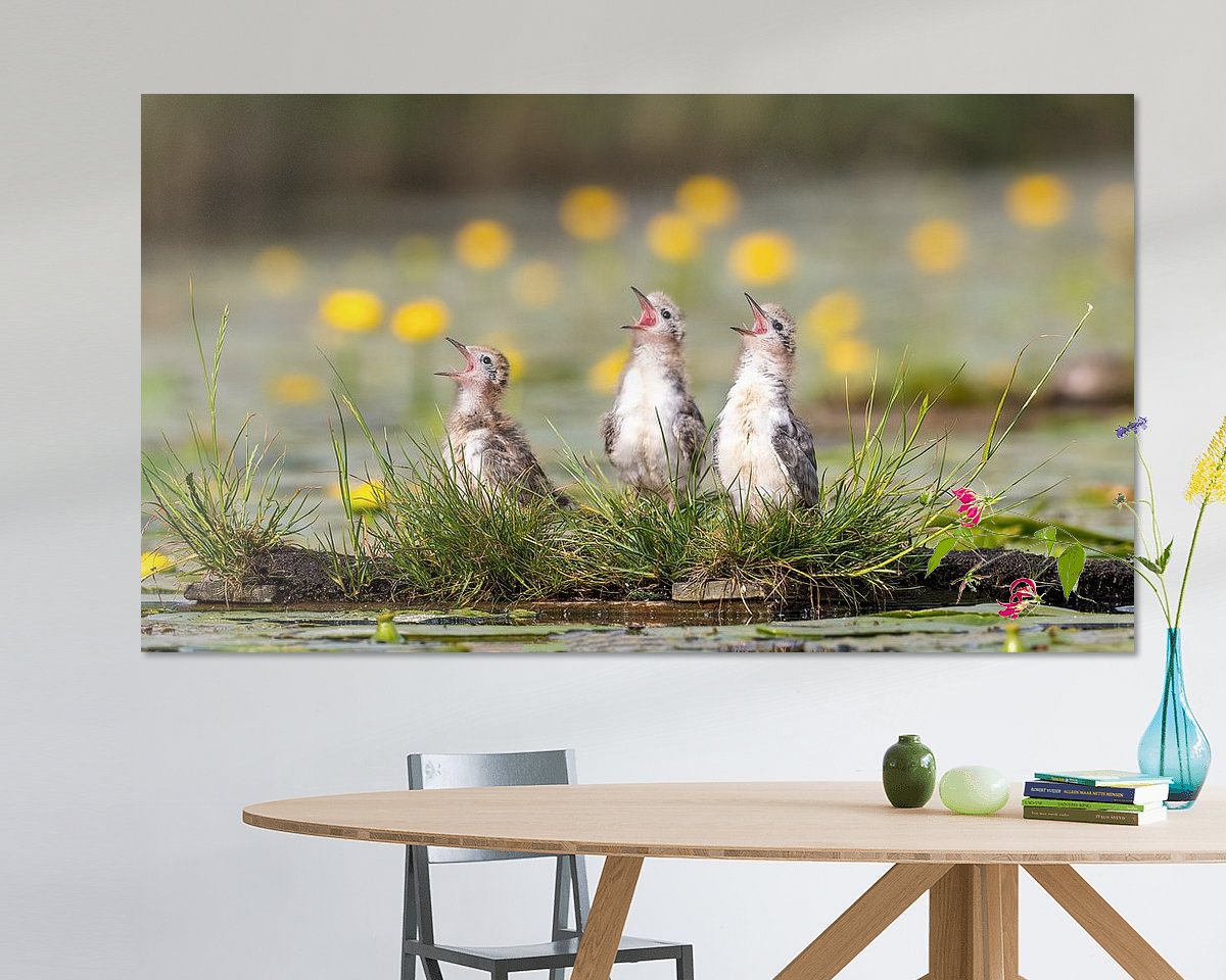 Voorbeeld van het werk in een kamer