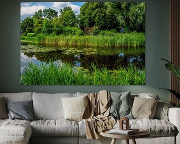 Üppige Grabennatur bei IJlst - Frischer grüner Sommer in Friesland
