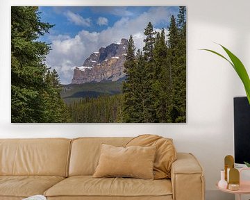 Castle Mountain van Franksfotoforum