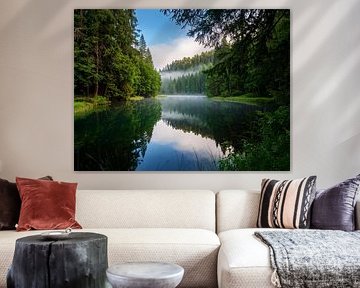 Stile Momente am Waldsee - stille momenten bij het bosmeer - stille momenten st het bosmeer