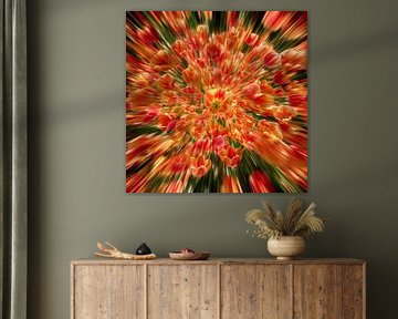 Éclaboussure florale de tulipes rouges et jaunes sur Olaf Kramer