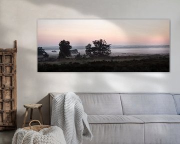 Morgennebel über der Edese-Heide