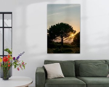 Sonnenuntergang in den Bergen mit altem Baum auf der Insel Korsika Vertikal