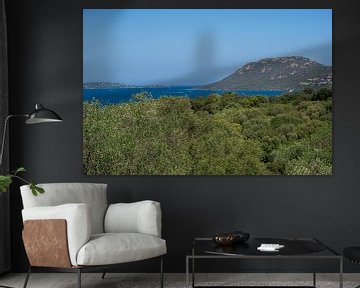 Vue sur la mer et les montagnes de la côte méditerranéenne de l'île de Corse sur Animaflora PicsStock