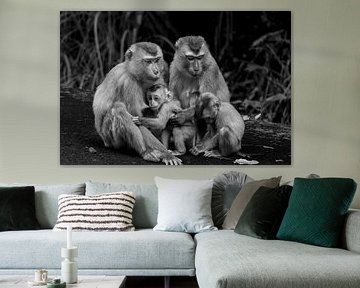 Family of macaques in black and white by Franklin Driessen