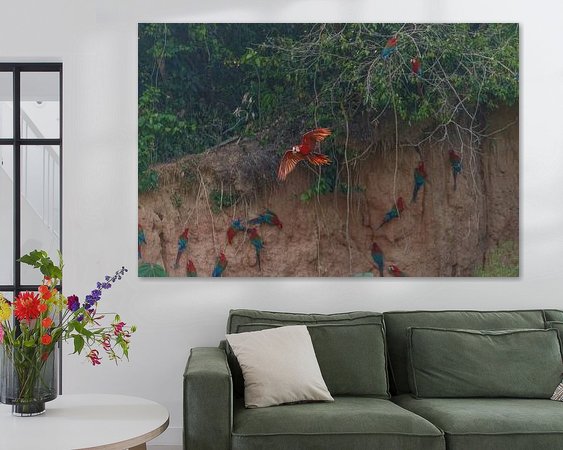 Aperçu de la chambre