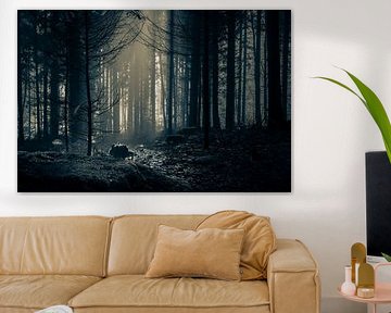 Wald