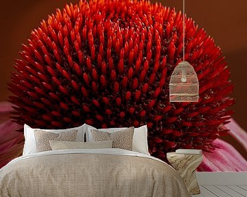 The warm heart of a Sunflower (Echinacea) by Marjolijn van den Berg