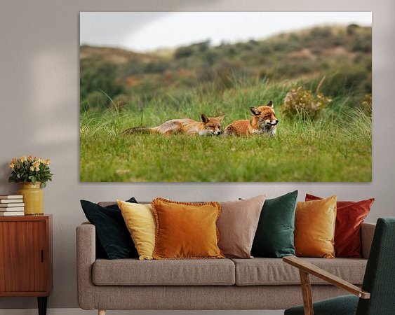 Aperçu de la chambre