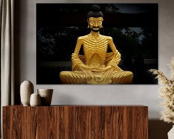Der asketische Buddha: Weisheit in der Abgeschiedenheit von Franklin Driessen