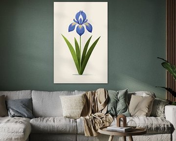 Kroatische Iris, botanische Illustration im minimalistischen Stil von Eduard Broekhuijsen