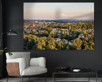 Blick vom Neroberg auf Wiesbaden in Hessen von Werner Dieterich