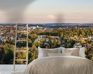 Blick vom Neroberg auf Wiesbaden in Hessen von Werner Dieterich