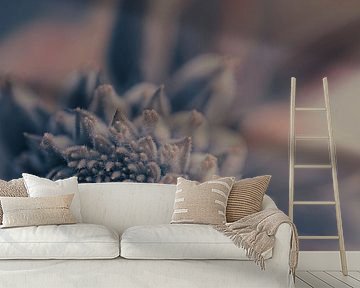 Grey Macro Flower with Mini-spikelets by Patrick Mertens aka Pat Probleme