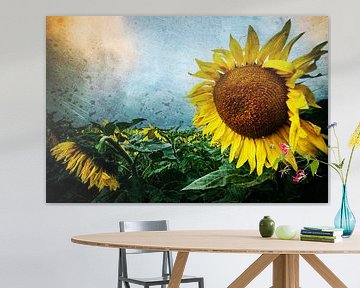 Dramatic Sunflowers by ARTBERGWERK