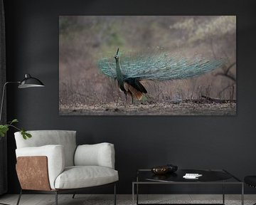 A Green Peacock by Anges van der Logt