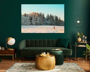 Winterrit door de Frosted Pines van Inspiration